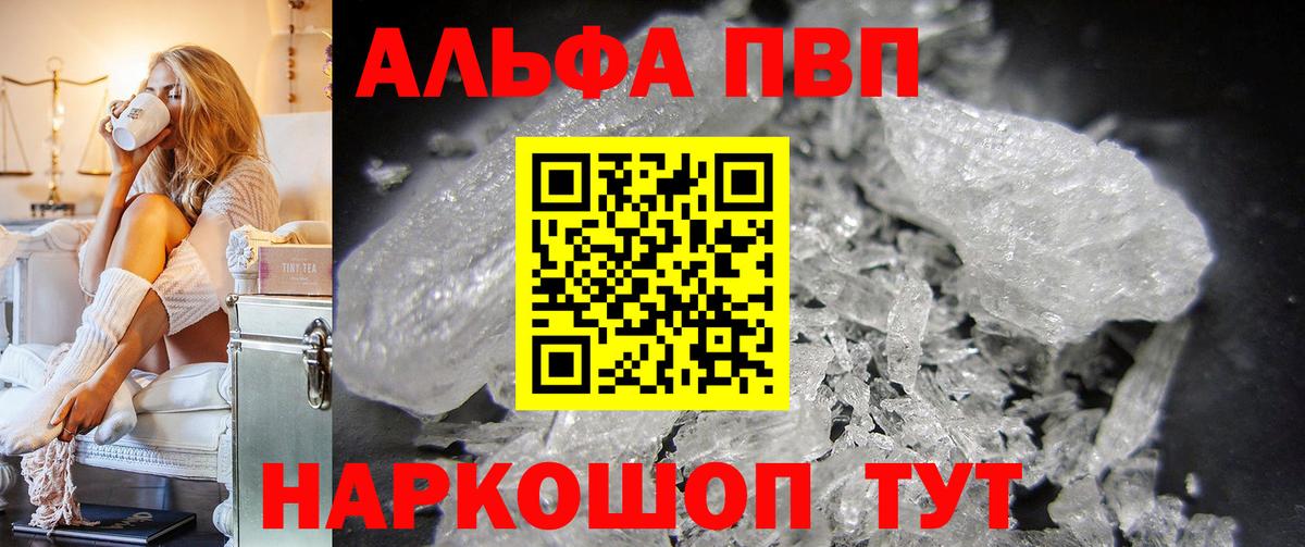 Alfa_PVP СК Владикавказ