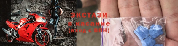 прущие грибы Абинск