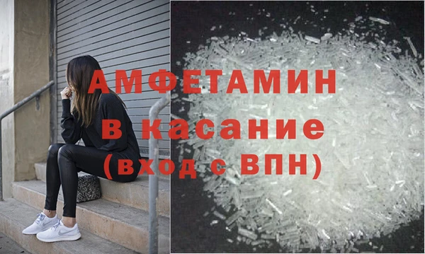 прущие грибы Абинск