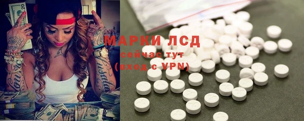 прущие грибы Покачи