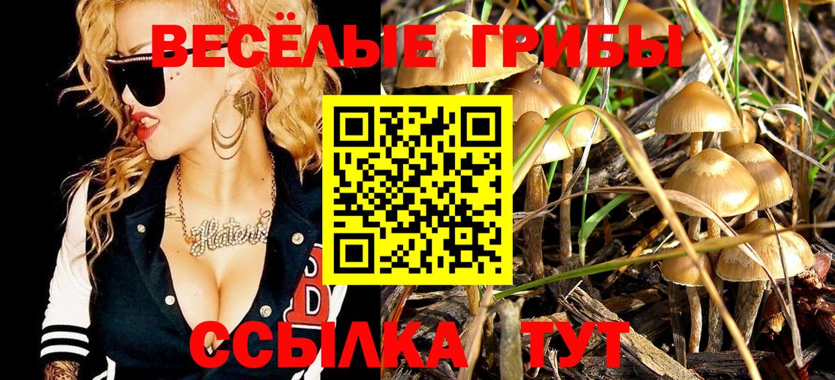 Псилоцибиновые грибы GOLDEN TEACHER  Вход с VPN  Владикавказ  Галлюциногенные грибы прущие грибы 